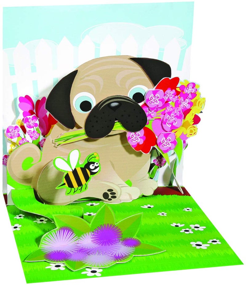 Up With Paper Birthday Greeting Card For Him - Pug Bouquet Pop-Up, Multicolor (865) - Image 1